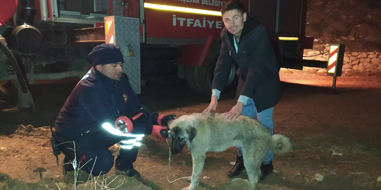 Irmak kenarında mahsur kalan köpeği itfaiye ekipleri kurtardı
