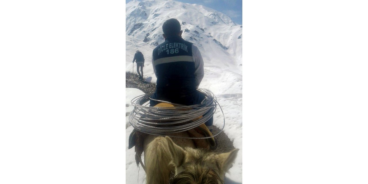 Dicle Elektrik, elektriksiz kalan 8 aileye katır sırtında ekip gönderdi
