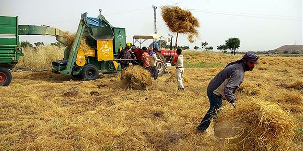 TÜİK çiftçi maliyetlerini yarın açıklayacak