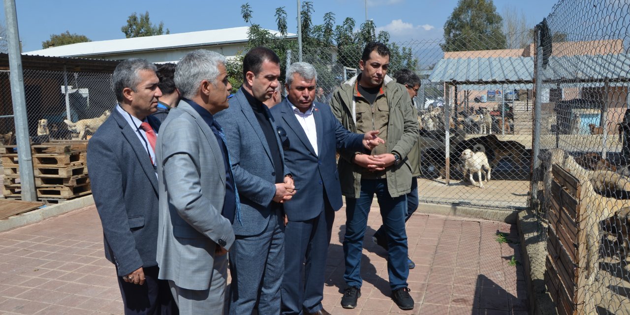 Adana'da Kozan Belediyesinden hayvan barınağı açıklaması