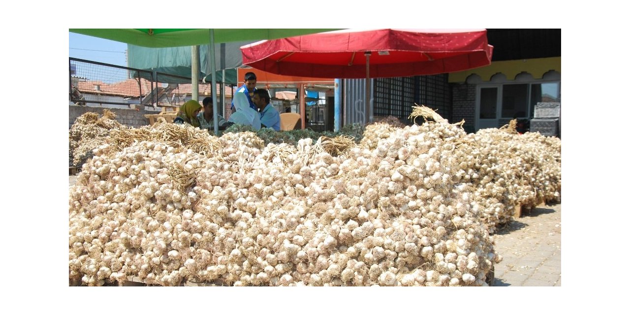 Korona virüsü, sarımsağın da ateşini yükseltti