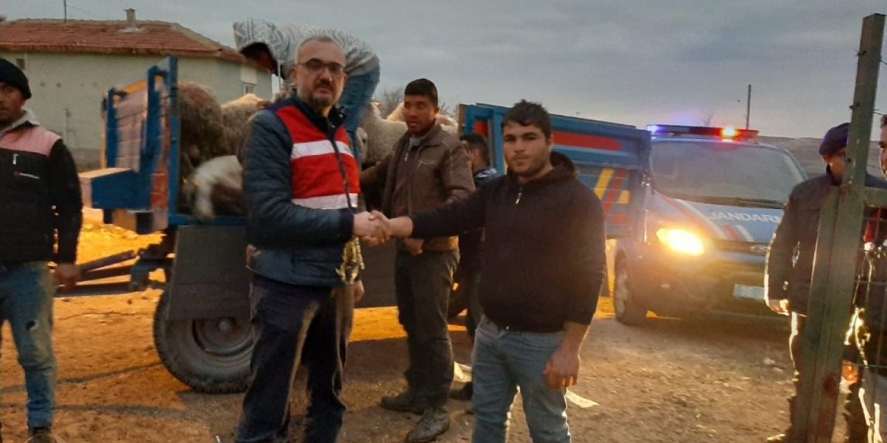 Jandarma çalınan küçükbaş hayvanları buldu sahiplerine teslim etti