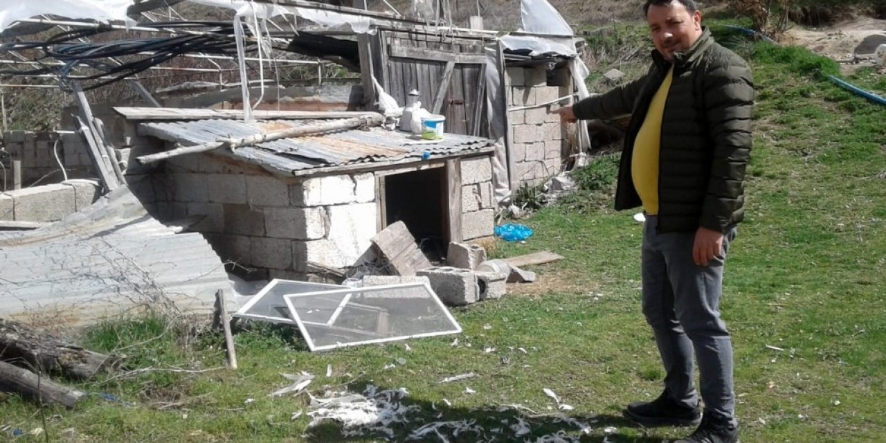 Gümüşhane’de ayılar bir gecede 25 tavuğu yedi