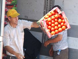350 bin ton domates çöplüğe döküldü!
