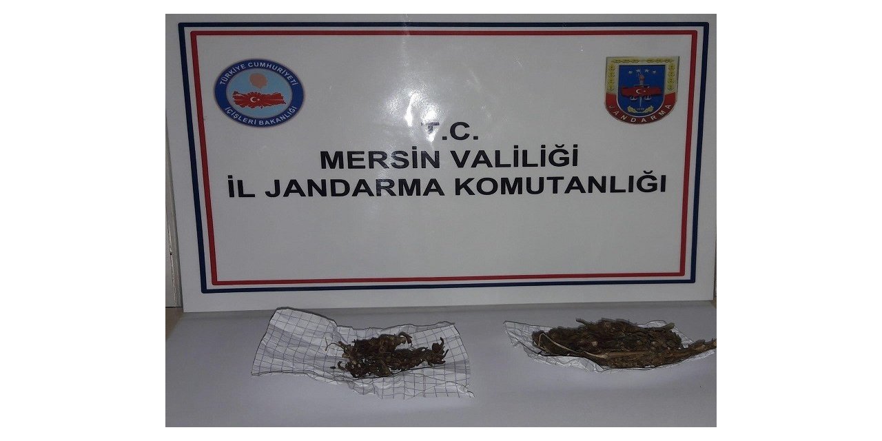 Uyuşturucu kullanan 1 kişi suçüstü yakalandı