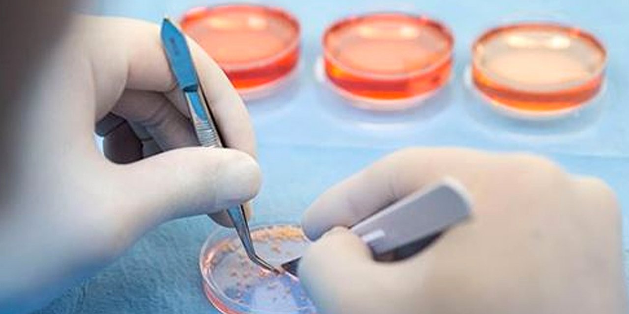 Virüs sanılandan 5 kat daha dayanıklı çıktı!