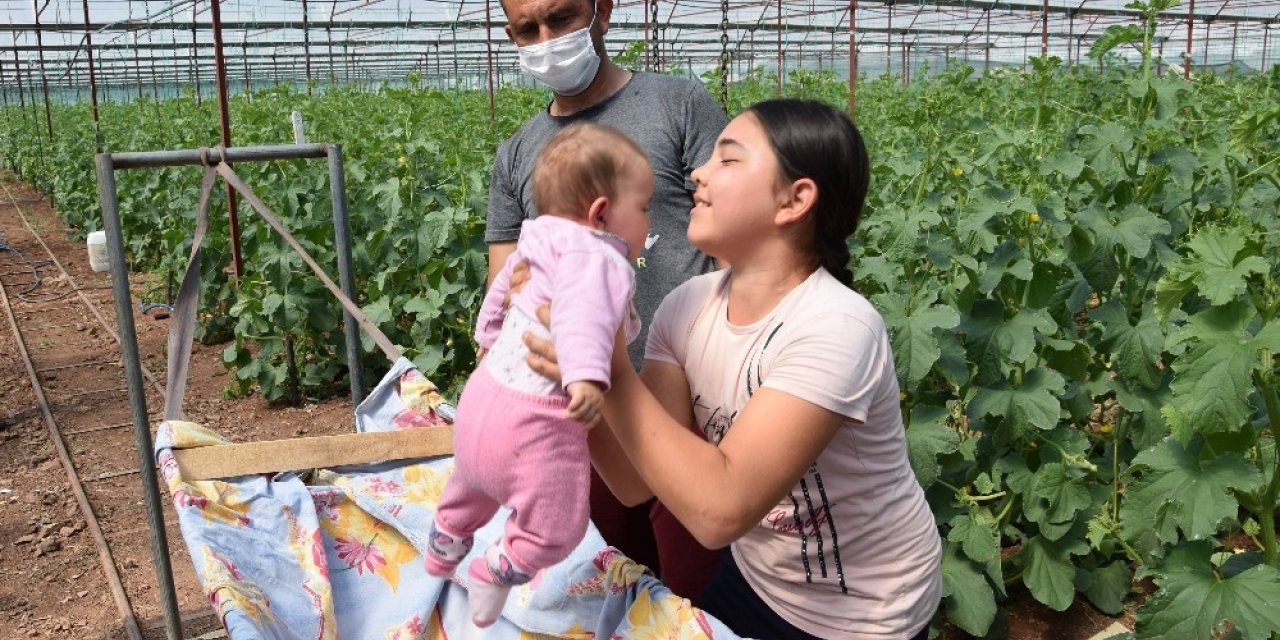 Herkes eve kapandı onların iş yükü arttı, bebekleriyle seralara taşındılar