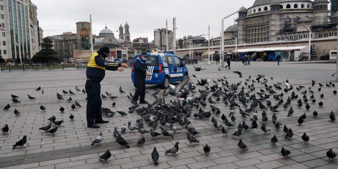 İBB Zabıtasından sokakta yaşayan hayvanlara yiyecek yardımı