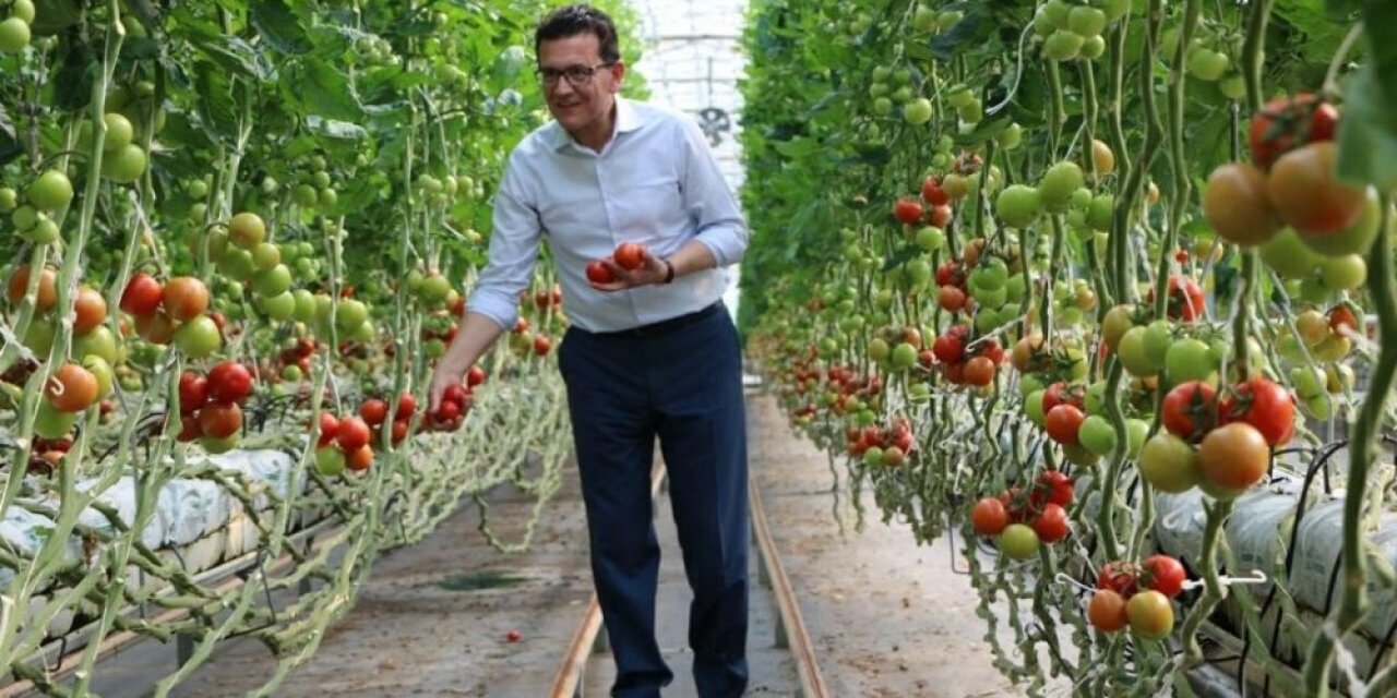 Çiftçiye faizsiz ve indirimli kredi desteği