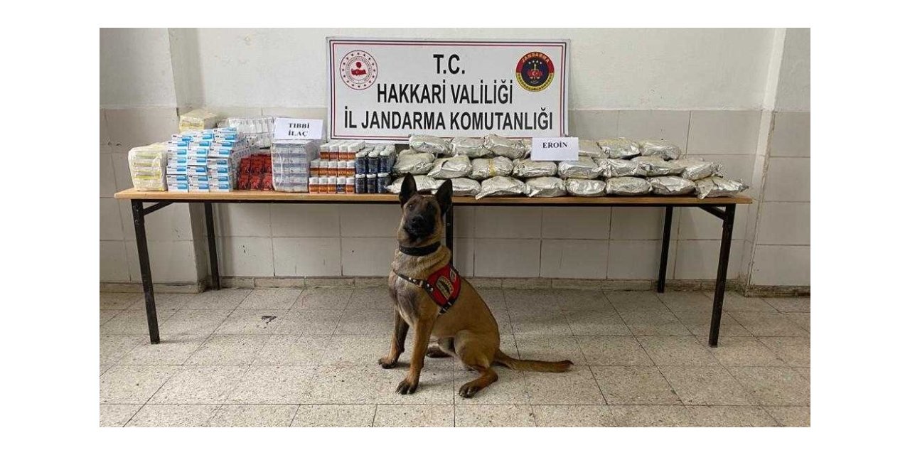 Yüksekova’da yüklü miktarda uyuşturucu madde ve tıbbi ilaç ele geçirildi