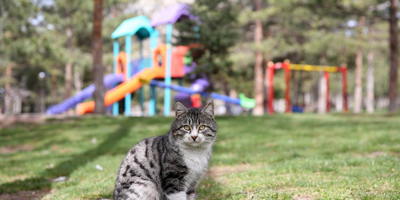 Kayseri'de yeni Kovid-19 tedbirleri uygulanmaya başlandı