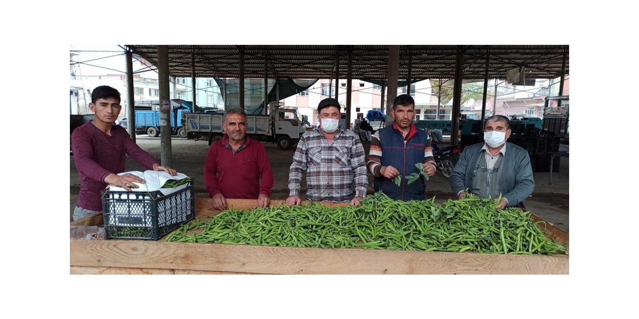 Bezelyeyi soğuk vurdu