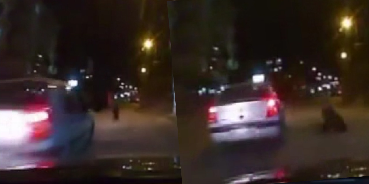 Yolun karşısına geçen kadına çarpıp kaçtı