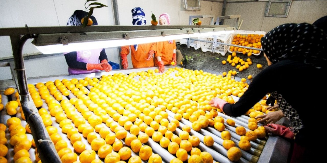 İhracatçılar için tüm imkanlar seferber ediliyor