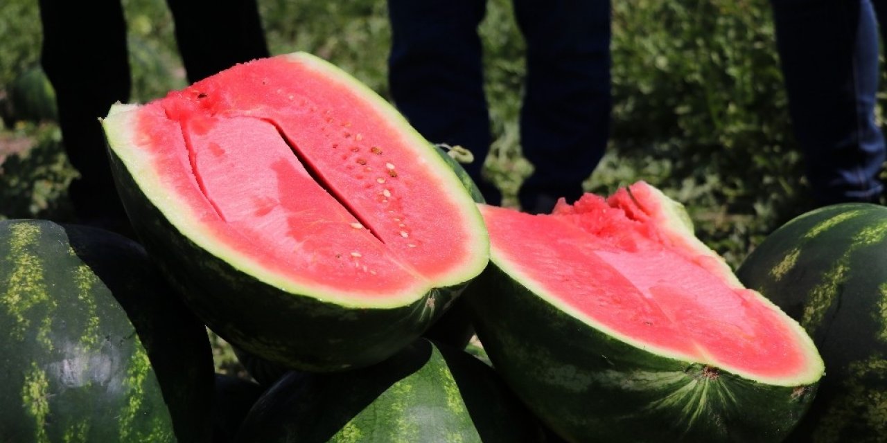 İran’dan Türkiye’ye karpuz giriyor mu?