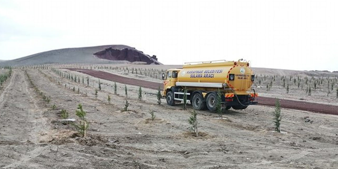 Karapınar Belediyesi yeni diklilen fidanları suluyor