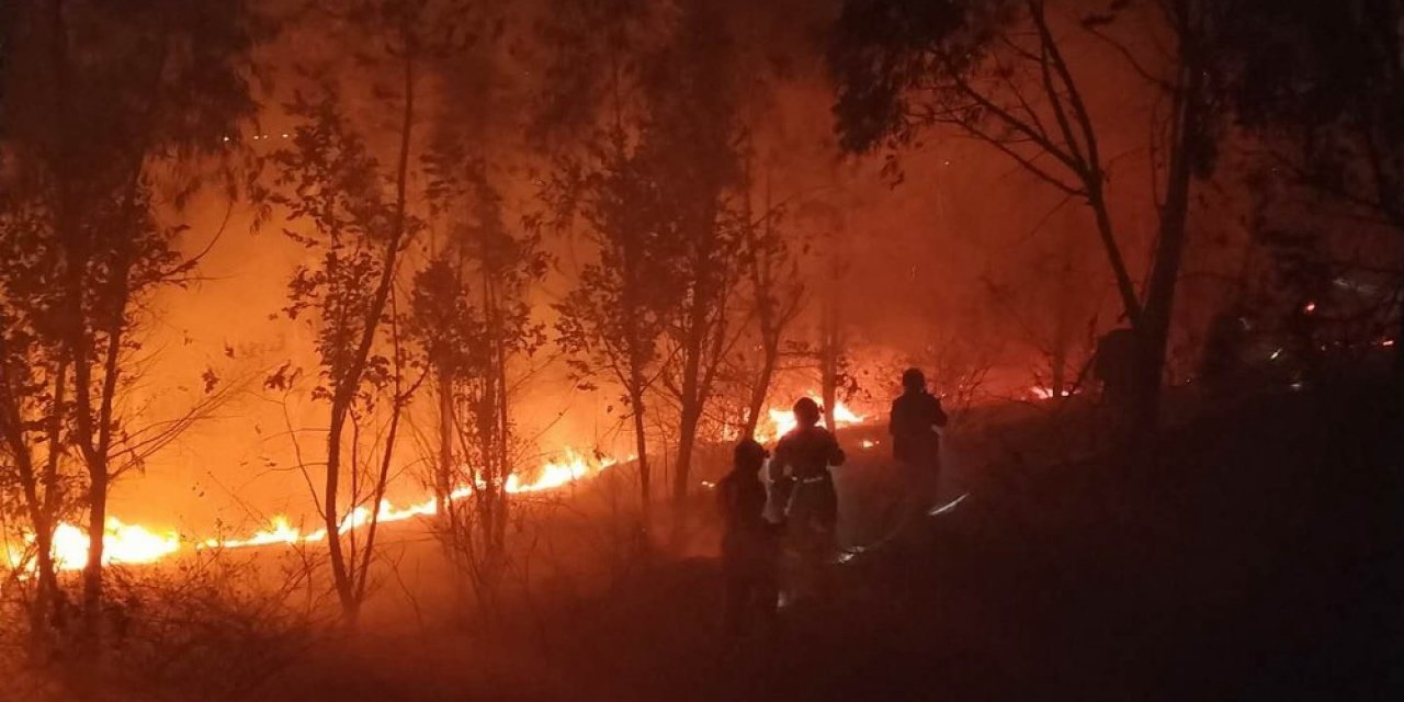Çin’de orman yangınında itfaiye ekibi mahsur kaldı: 19 ölü