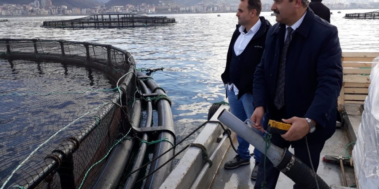 En fazla hibe desteği su ürünleri üretimine