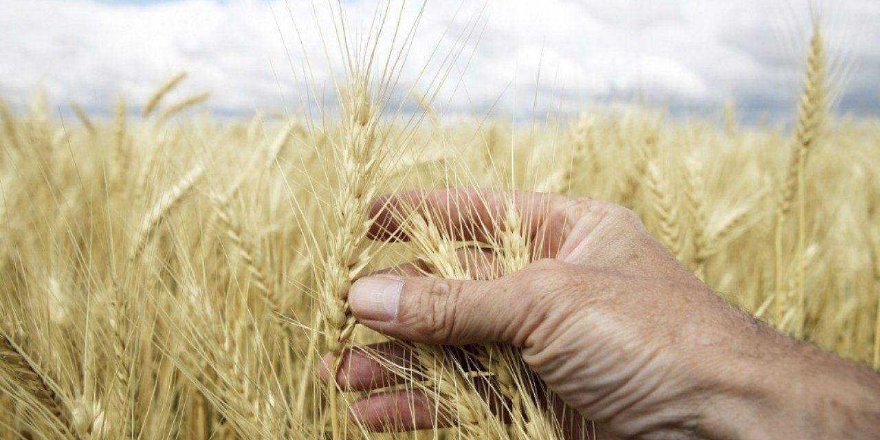 Süleyman Tiryakioğlu: “Türkiye asla gıda krizi yaşamayacak"