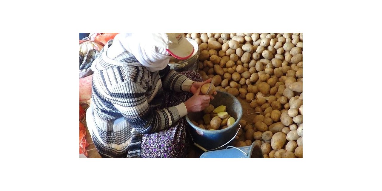 “Üretim durursa hayat durur” diyerek patates ekimini sürdürüyorlar