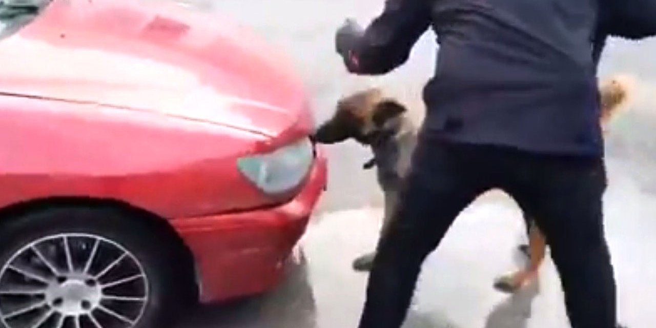 Şüphe üzerine durduruldu, uyuşturucu hap bulundu