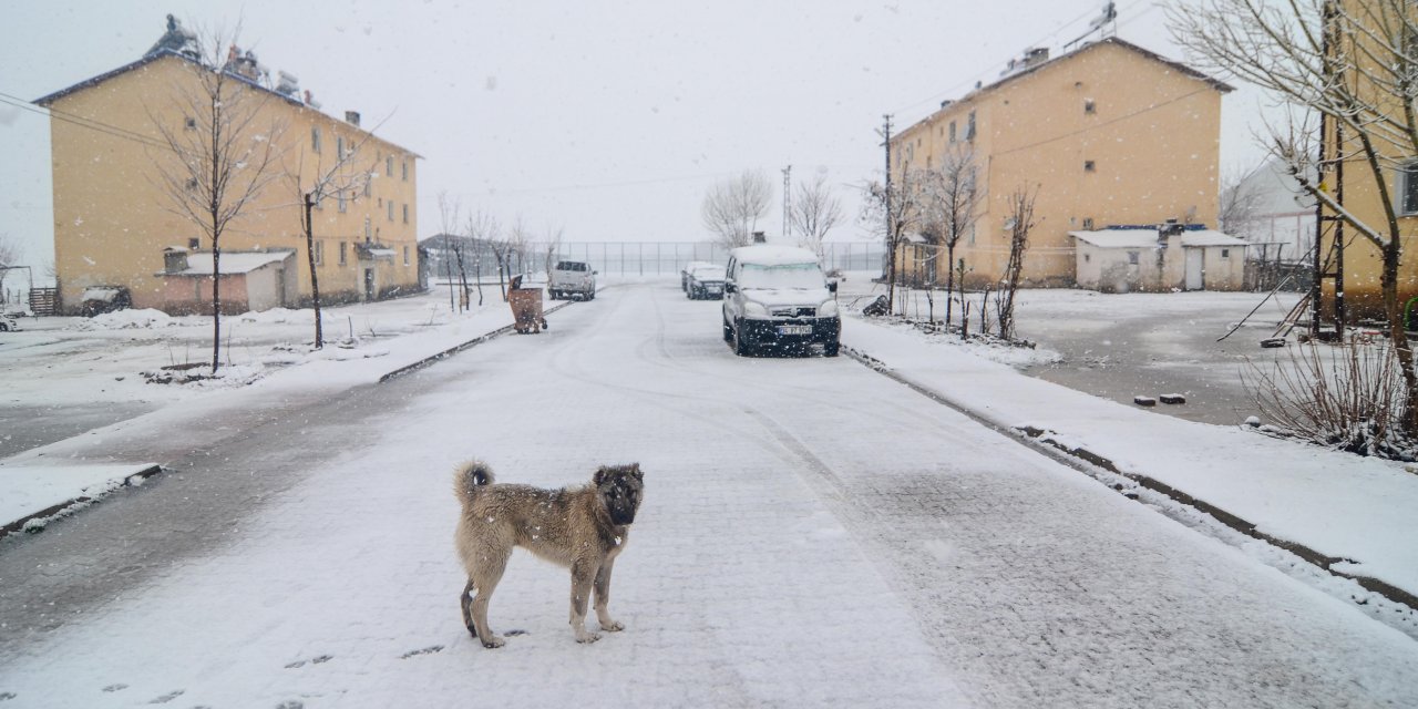 Ovacık kar yağışıyla beyaza büründü