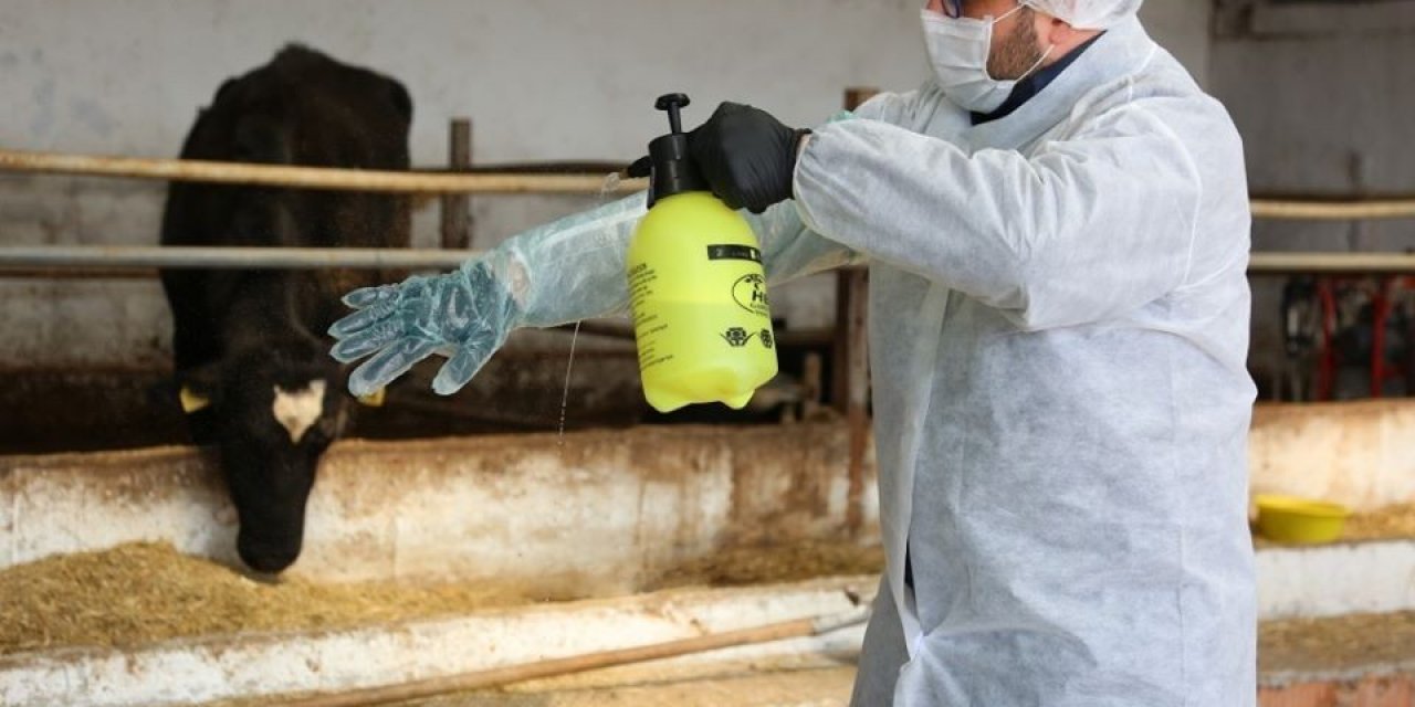 Saha çalışmalarında gerekli tedbirler alındı