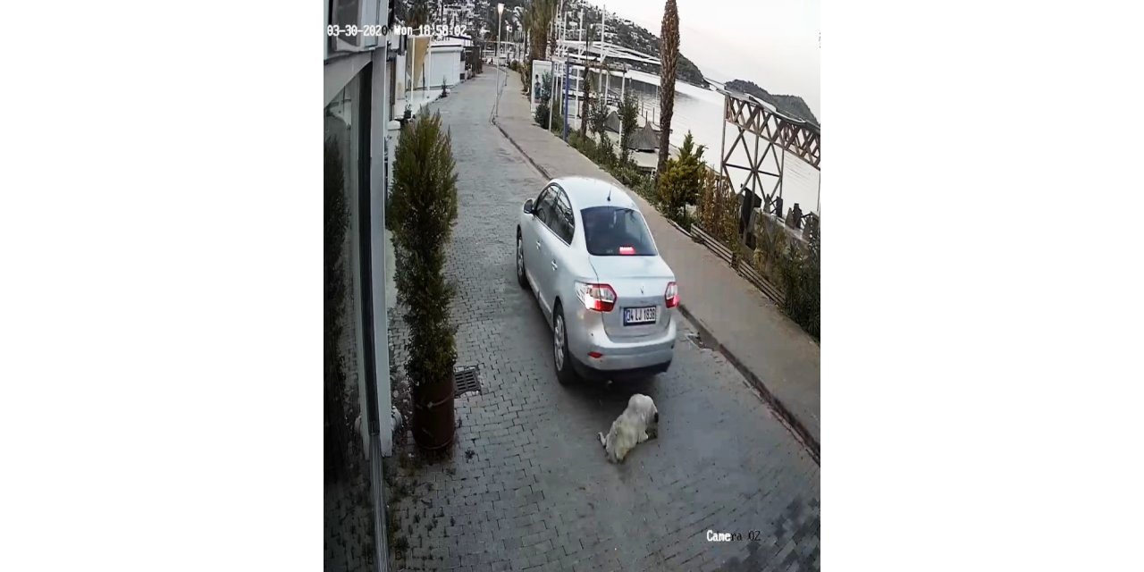 Böyle vicdansızlık görülmedi