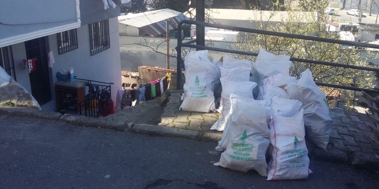 Ağaçların budanan dalları ihtiyaç sahiplerine yakacak oluyor