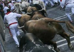 Boğa intikamını böyle aldı