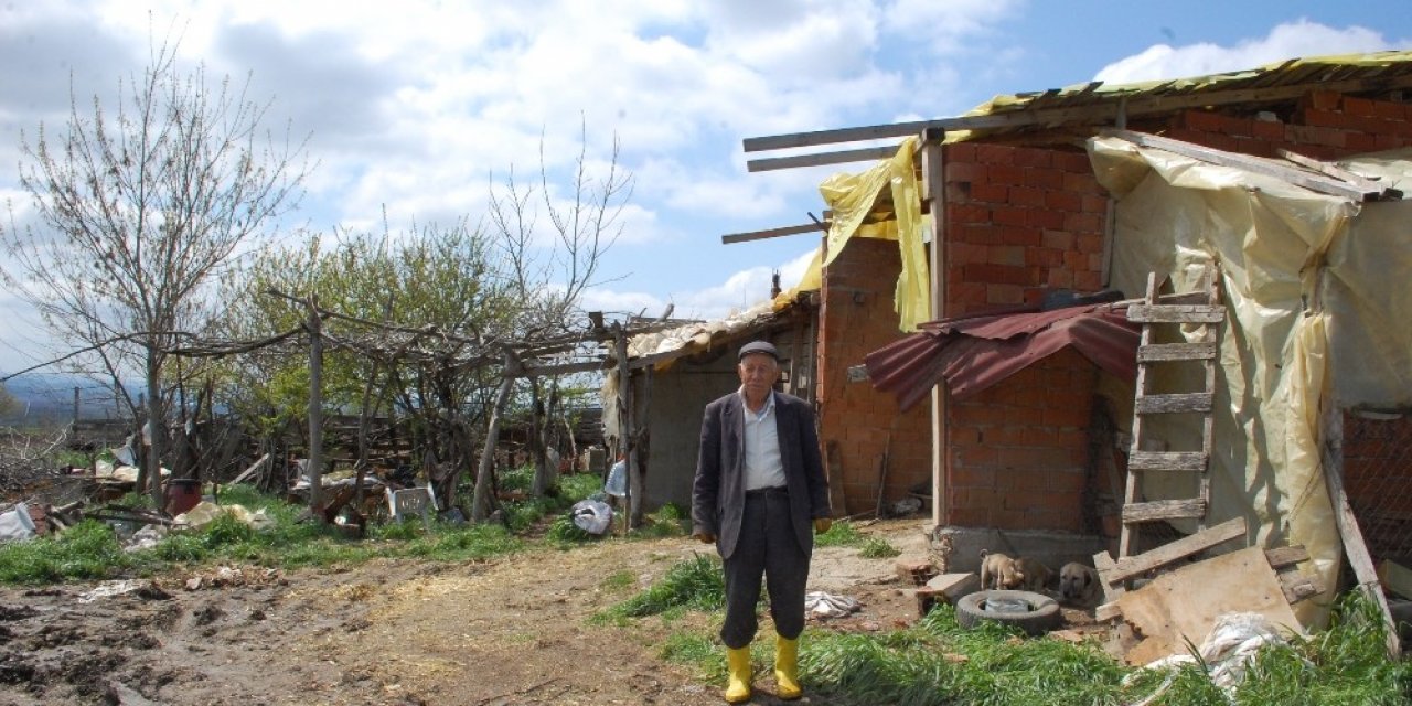 Çiftlikten 3 büyükbaş hayvanı çalıp kayıplara karıştılar