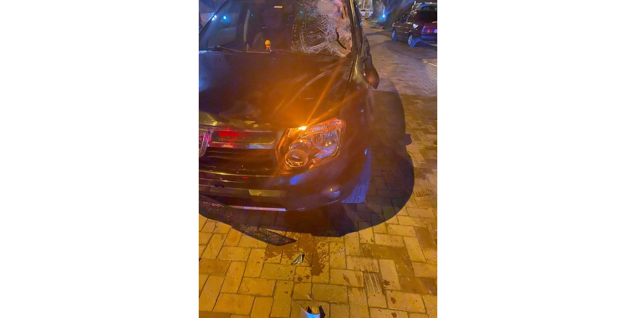Başıboş atlar otomobilin üzerine çıktı, sürücü neye uğradığını şaşırdı