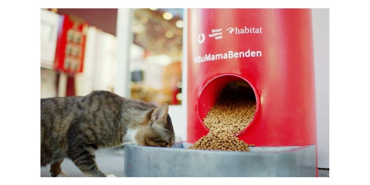 Türkiye Vodafone Vakfı’ndan ’Salgında sokak hayvanlarını unutma’ çağrısı