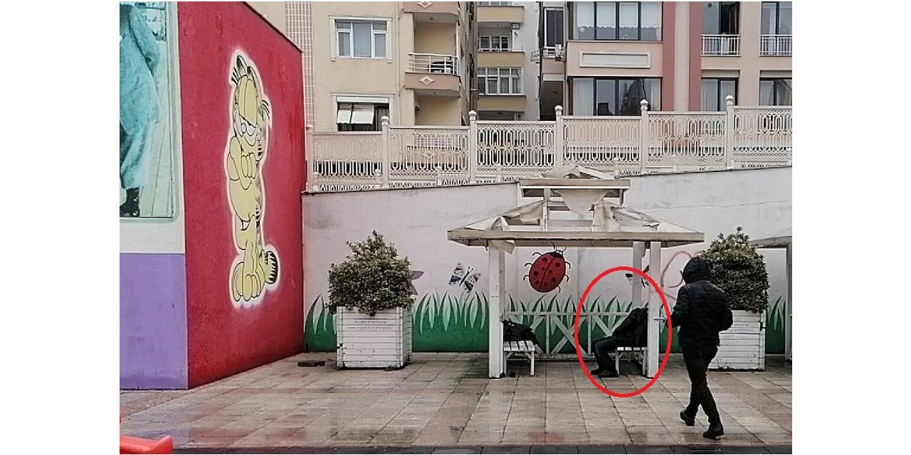 Çocuk parkındaki kamelyada ölü bulundu