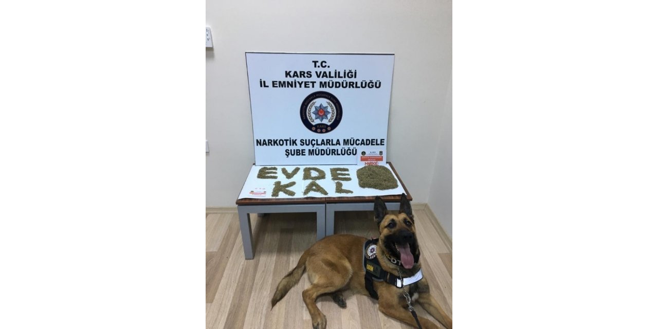 Kars’ta Odin uyuşturucuya geçit vermiyor