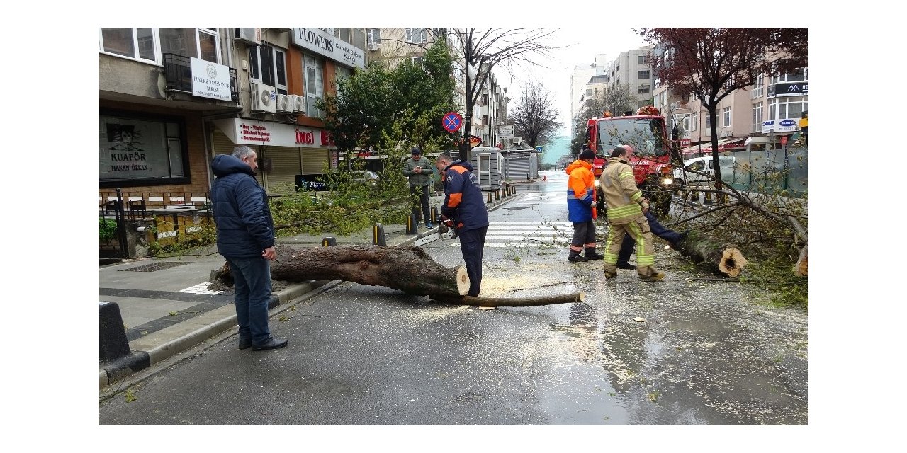 Mecidiyeköy’de fırtınanın etkisiyle devrilen ağaç yolu trafiğe kapattı