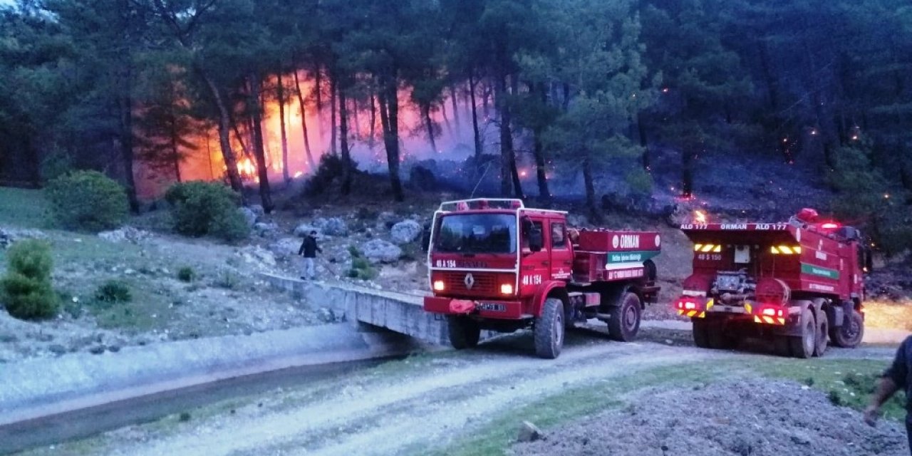 Seydikemer’de orman yangını