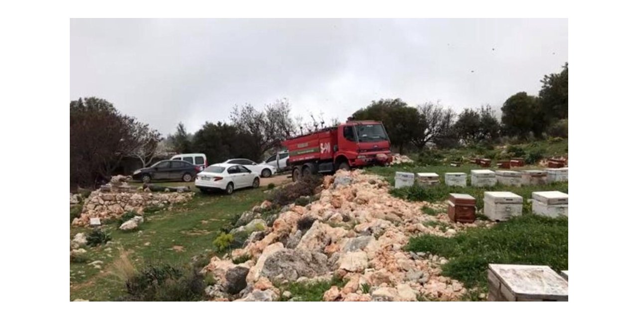 Kaş’taki yangın arı kovanlarını da vurdu
