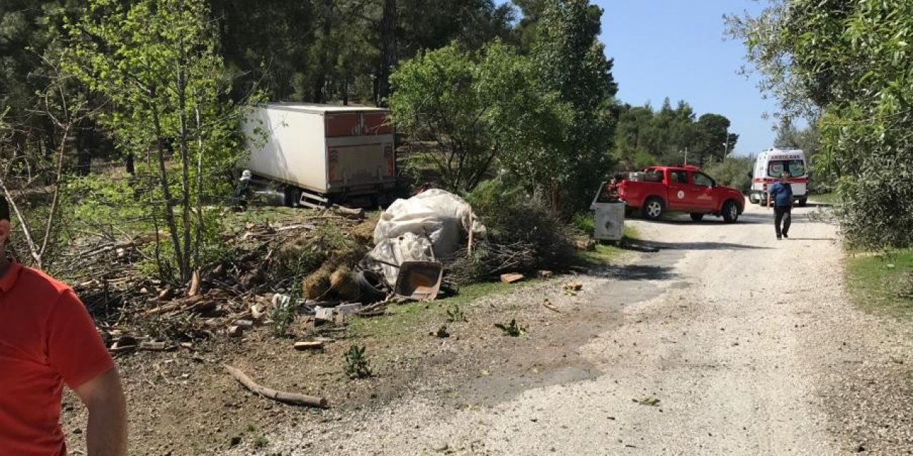 Freni boşalan kamyon ormana daldı