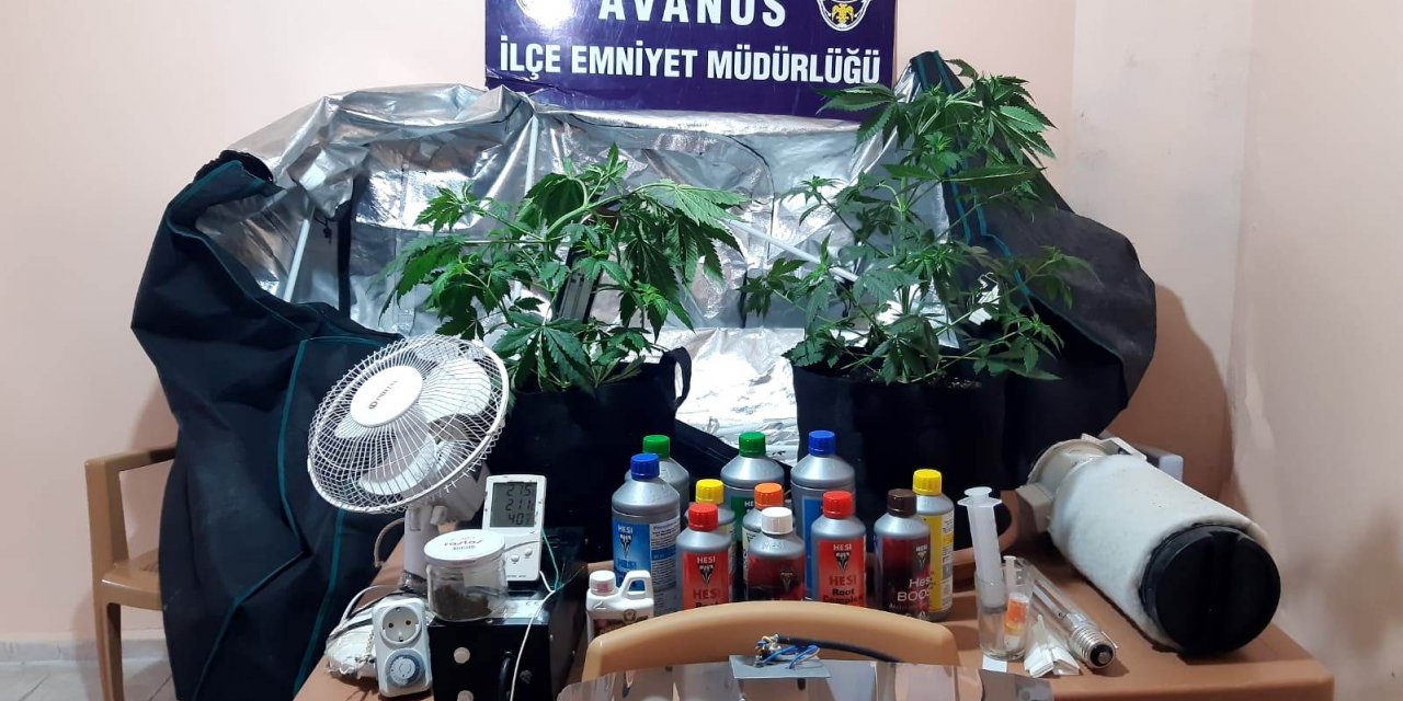 Avanos'ta uyuşturucu operasyonu