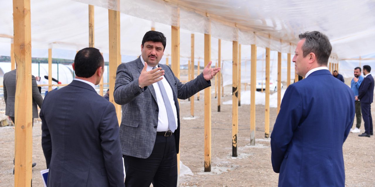 Kahramankazan'da termal sera faaliyete geçti