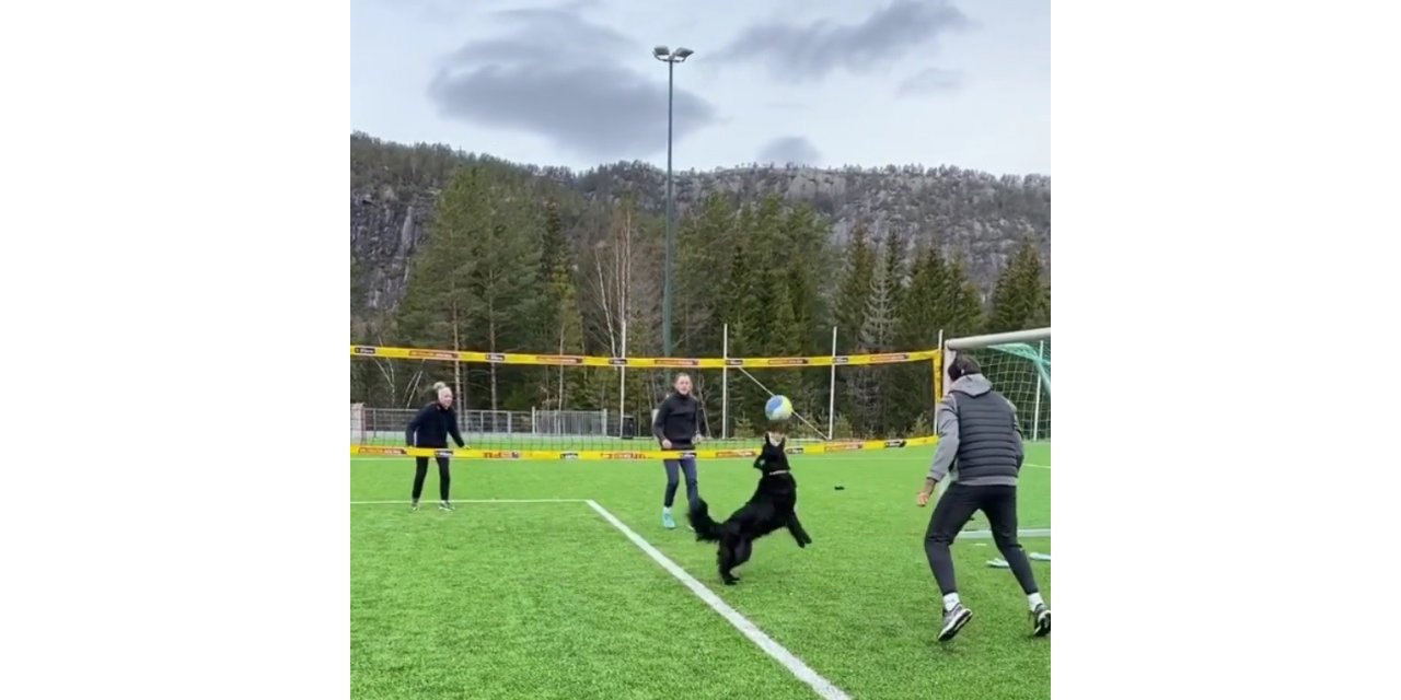 Norveçli voleybolcunun köpeğiyle antrenmanı hayran bıraktı