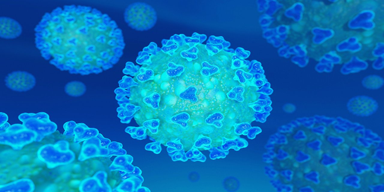 Son 24 Saatte Hangi Ülke En Çok Koronavirüs Vakası Rapor Etti