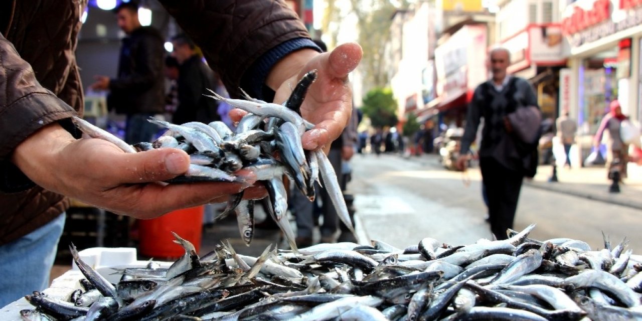 En fazla hamsi ihracatı Belçika’ya