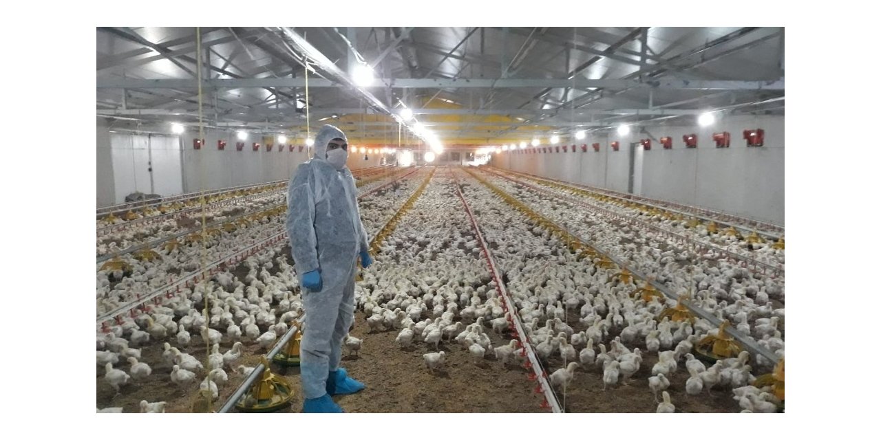 Kocaeli’de korona virüs tarım ve hayvancılıkta üretimi etkilemedi