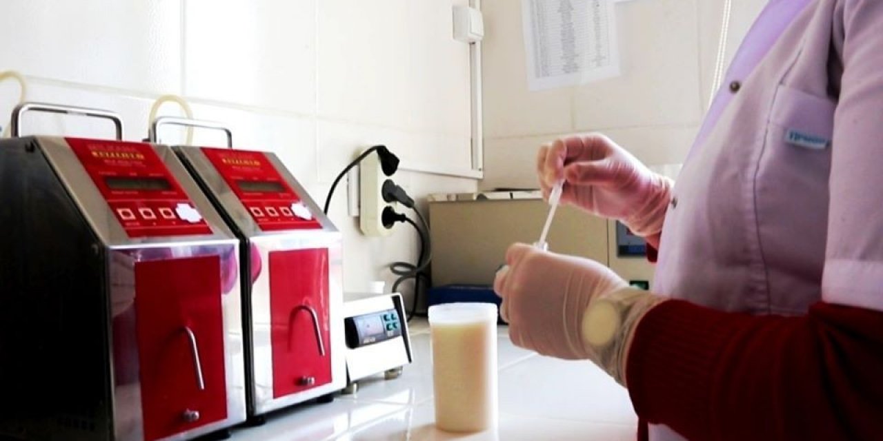 Amasya’da mart ayında günlük 67 ton çiğ süt toplandı