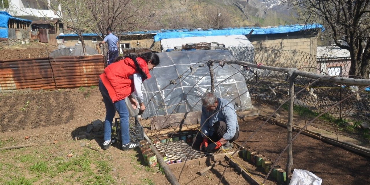 Şırnak’ta organik sebze tohumları toprakla buluştu