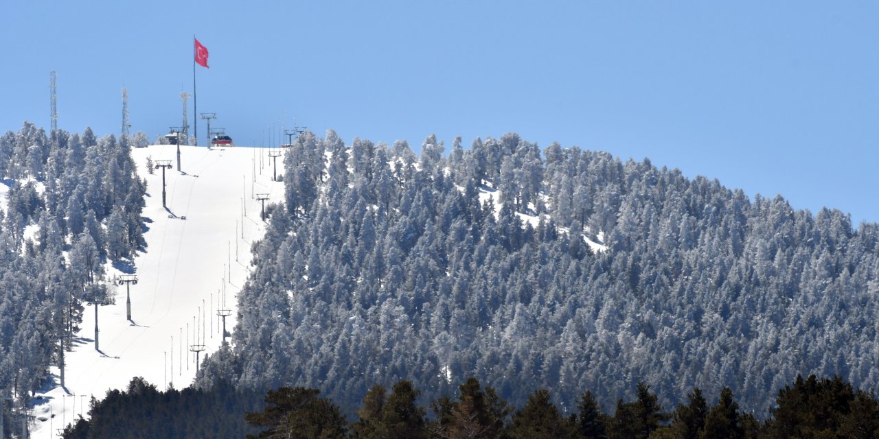 Rengarenk çiçekler ve beyaz örtüyle kaplı ormanlar arasındaki güzellik