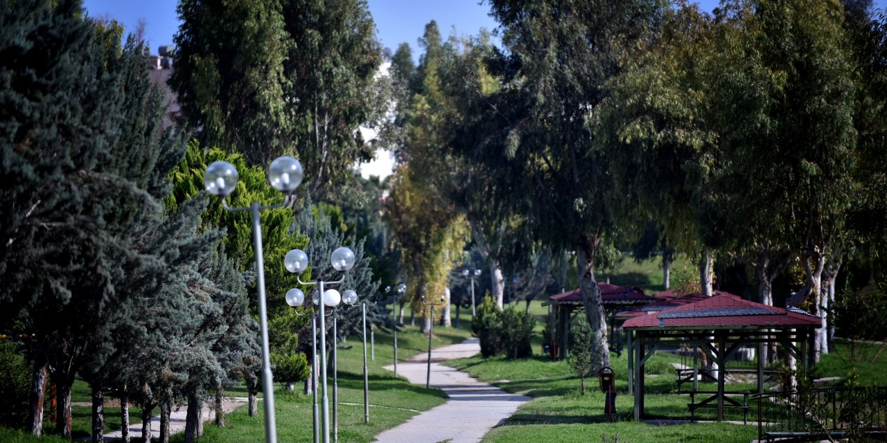 Doğu Akdeniz'de Kovid-19 tedbirleri