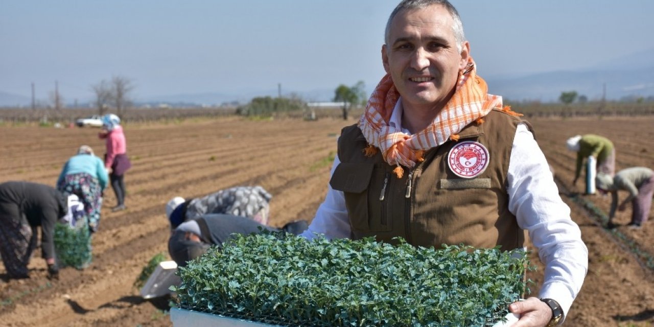Tarımsal ürün alanlarına yerinde inceleme